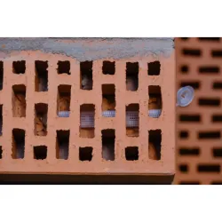 TAMIS PLASTIQUE MOTN