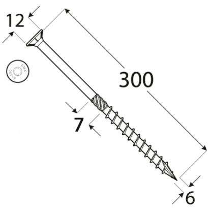 CS 06300