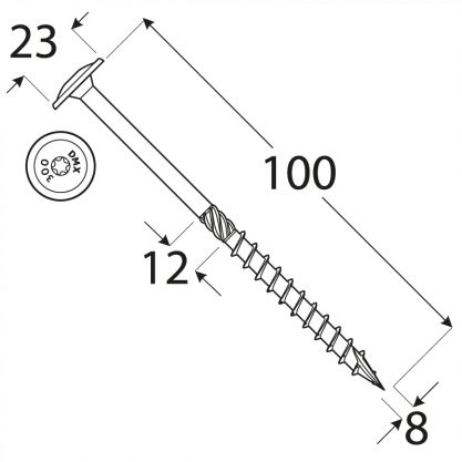 CT 08100