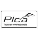 Pica